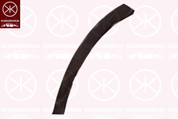 Trim/Protection Strip, bumper, Left Front, black, 521130R030 (TOYOTA), 52113-0R030 (TOYOTA)