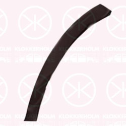 Trim/Protection Strip, bumper, Left Front, black, 521130R030 (TOYOTA), 52113-0R030 (TOYOTA)