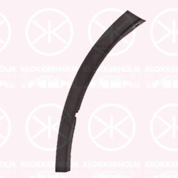 Trim/Protection Strip, bumper, Right Front, black, 521120R050 (TOYOTA), 52112-0R050 (TOYOTA)