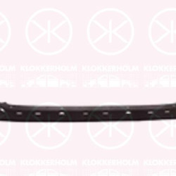 Bumper, Rear, Lower Section, 521690R010 (TOYOTA), 52169-0R010 (TOYOTA)